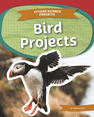 Christa Kelly - Bird Projects, Inbunden