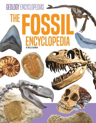 Miles Herman - Fossil Encyclopedia, Inbunden