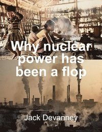 bokomslag Why Nuclear Power Has Been a Flop