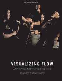 bokomslag Visualizing Flow