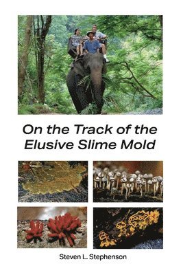 bokomslag On the Track of the Elusive Slime Mold