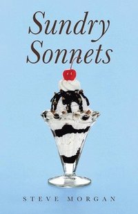 bokomslag Sundry Sonnets