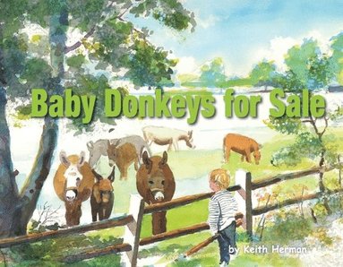 bokomslag Baby Donkeys for Sale