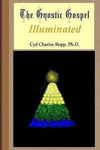 bokomslag The Gnostic Gospel Illuminated: Gnosis freely dispensed and demystified