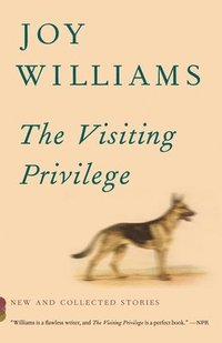 bokomslag The Visiting Privilege: New and Collected Stories