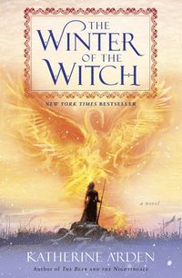 bokomslag The Winter of the Witch