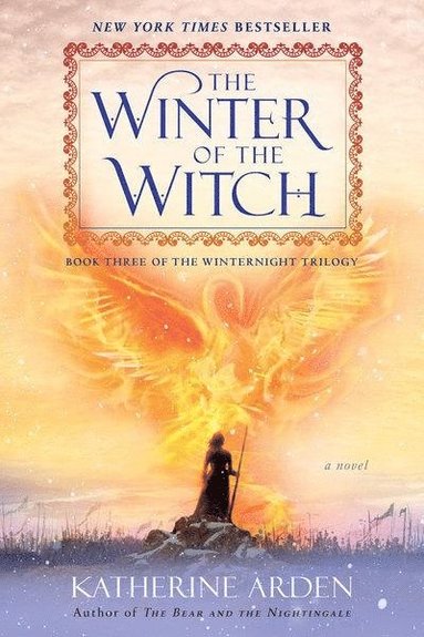 bokomslag The Winter of the Witch