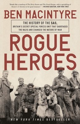 bokomslag Rogue Heroes