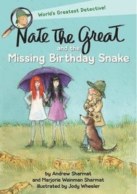 bokomslag Nate the Great and the Missing Birthday Snake