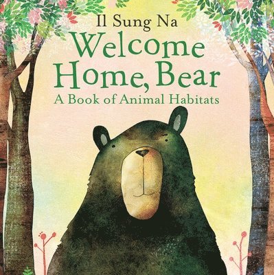 Il Sung Na - Welcome Home, Bear, Kartonnage