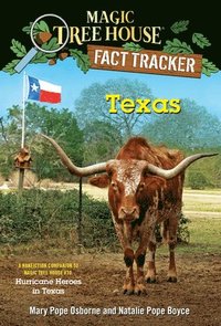 bokomslag Texas