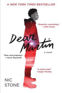 bokomslag Dear Martin