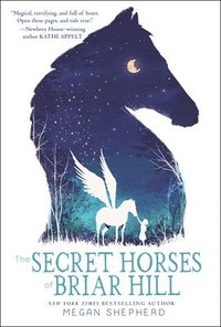 bokomslag The Secret Horses of Briar Hill