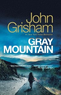 bokomslag Gray Mountain