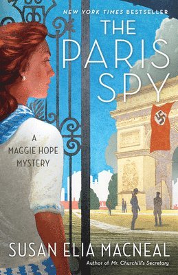 bokomslag Paris Spy