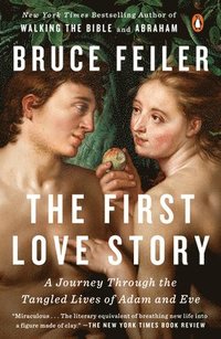 bokomslag The First Love Story