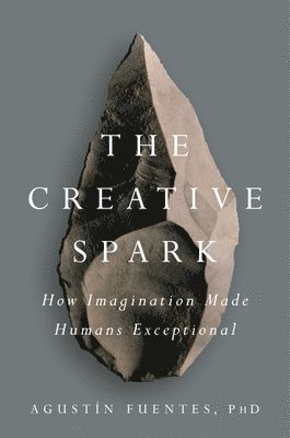 The Creative Spark 1