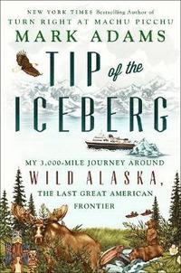bokomslag Tip Of The Iceberg