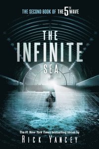 bokomslag Infinite Sea