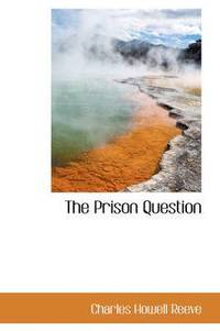 bokomslag The Prison Question