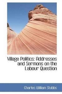 bokomslag Village Politics: Addresses and Sermons on the Labour Question
