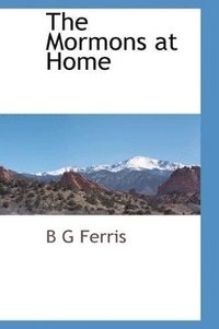 bokomslag Mormons at Home