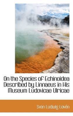 On the Species of Echinoidea Described by Linnaeus in His Museum Ludovicae Ulricae 1