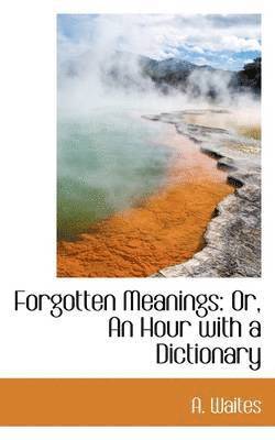 bokomslag Forgotten Meanings