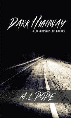 bokomslag Dark Highway