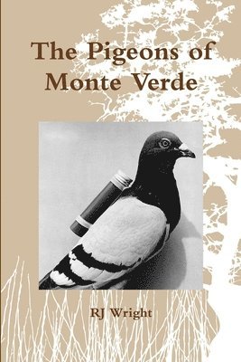bokomslag Pigeons of Monte Verde