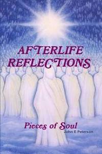 bokomslag Afterlife Reflections