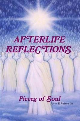 Afterlife Reflections 1