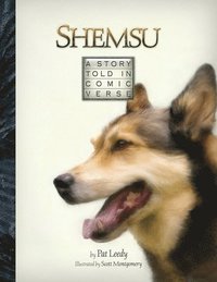 bokomslag Shemsu: A Story Told in Comic Verse