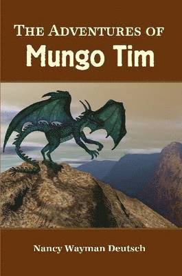 bokomslag Adventures of Mungo Tim