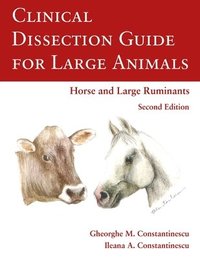 bokomslag Clinical Dissection Guide for Large Animals