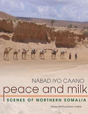 Peace and Milk: Scenes of Northern Somalia 1