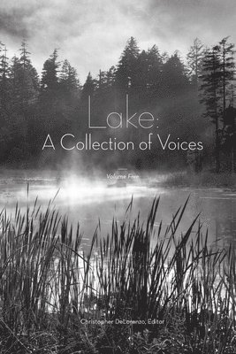bokomslag Lake: A Collection of Voices