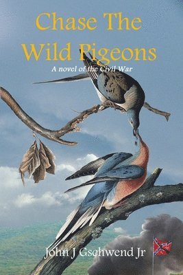 Chase The Wild Pigeons 1