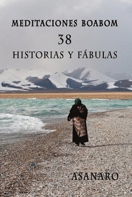 bokomslag Meditaciones Boabom: 38 Historias y Fabulas