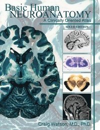 bokomslag Basic Human Neuroanatomy