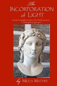 bokomslag Incorporation of Light
