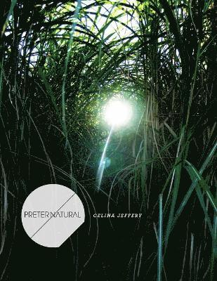 Celina Jeffery - Preternatural, Häftad