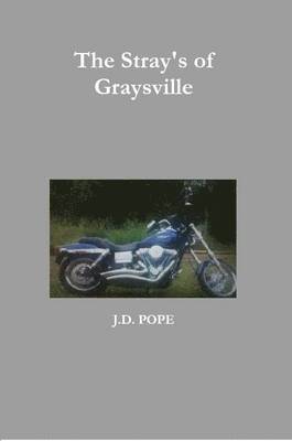 bokomslag Stray's of Graysville