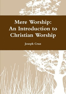 Joseph Cruz - Mere Worship: An Introduction to Christian Worship, Häftad