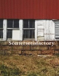 bokomslag Somersetisfactory