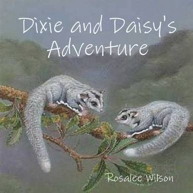 Rosalee Wilson - Dixie and Daisy's Adventure, Häftad