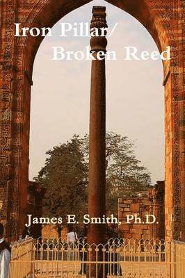 bokomslag Iron Pillar, Broken Reed