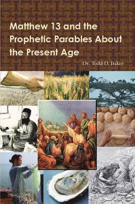 bokomslag Matthew 13 and the Prophetic Parables About the Present Age