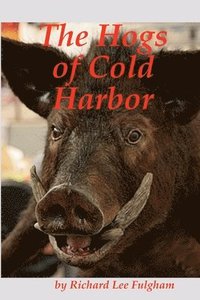 bokomslag The Hogs of Cold Harbor: The Civil War Saga of Pvt. John Henry Hesse, Corses Brigade, Pickitt's Division, Longstreet's Corps, CSA