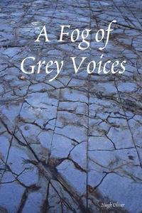 bokomslag A Fog of Grey Voices